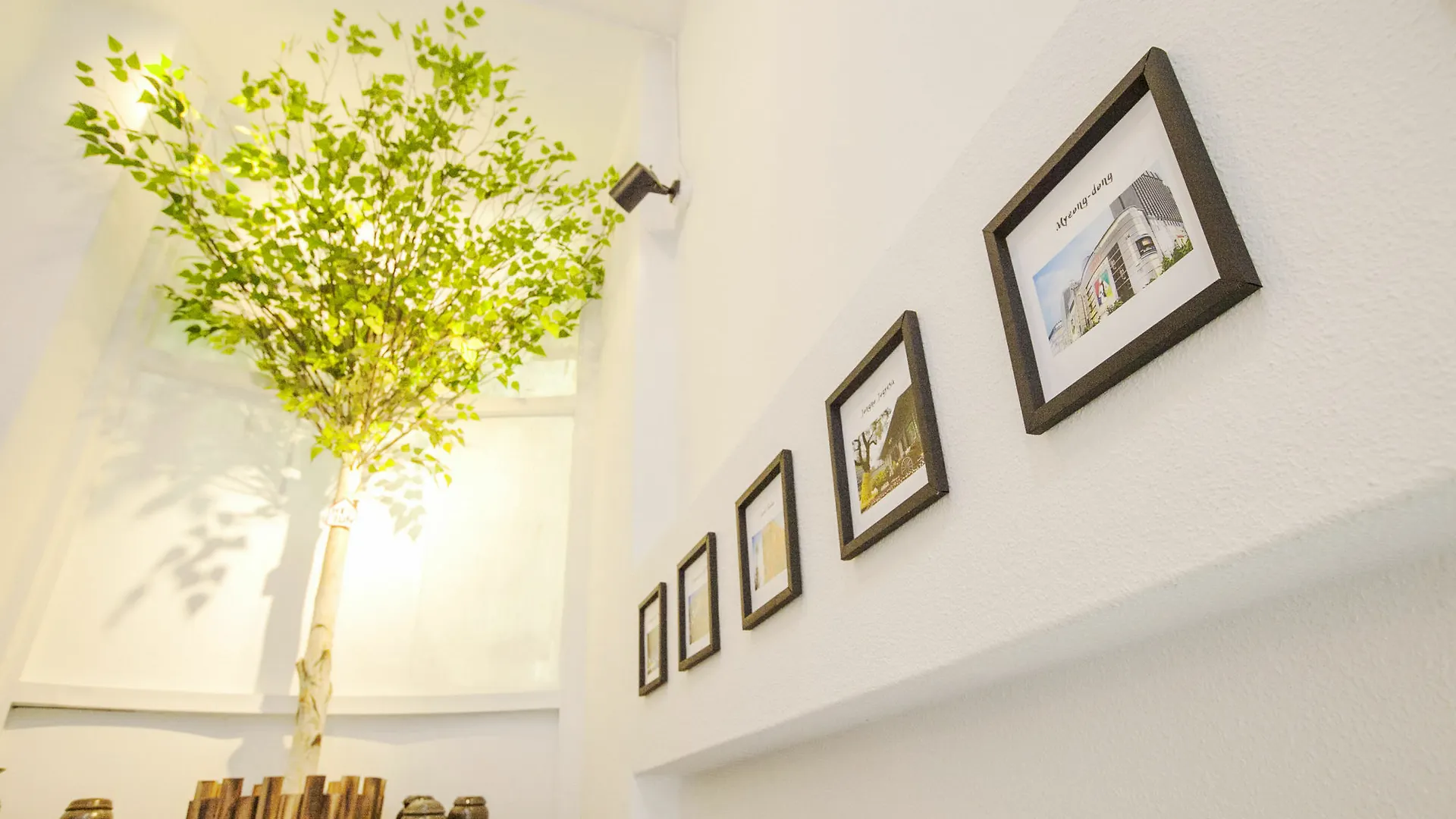 Guest house Cocoa Guesthouse Seoul